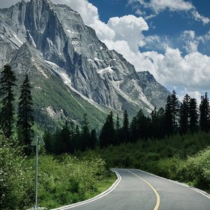 女体柔术十八禁
