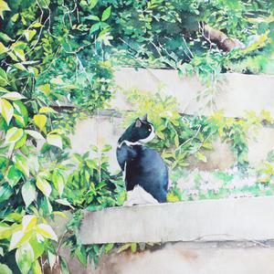 女体柔术十八禁
